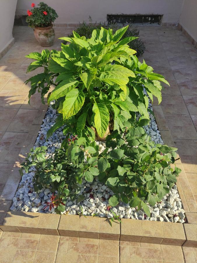 # 6 Giorgos & Chara Apartments Nea Kydonia المظهر الخارجي الصورة